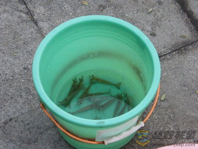 DSCF2750.JPG