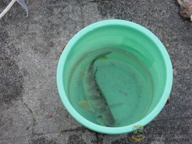 DSCF2759.JPG