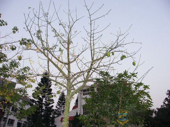DSCF2786.JPG