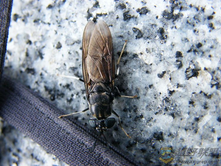 DSCF2824.JPG