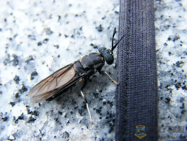 DSCF2825.JPG