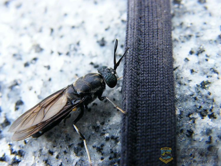 DSCF2826.JPG