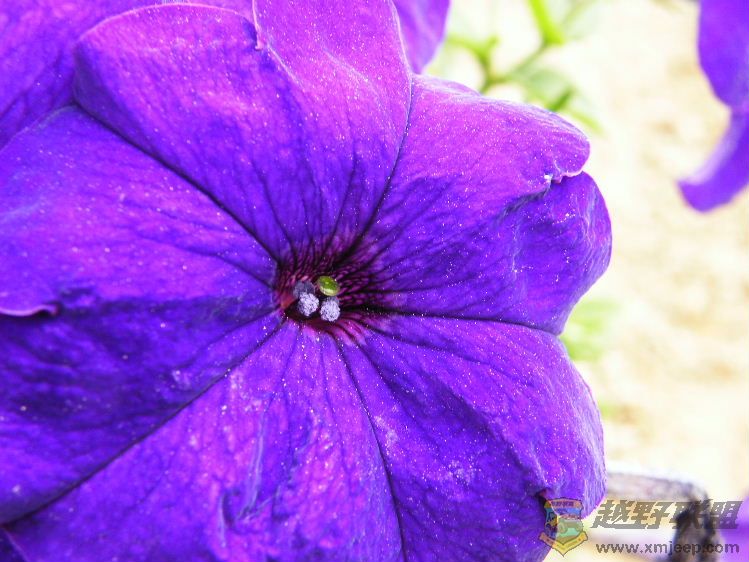 DSCF2832.JPG
