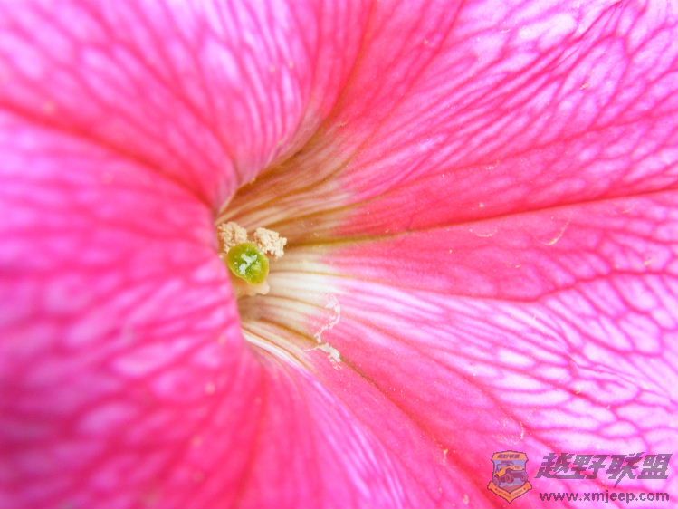DSCF2838.JPG