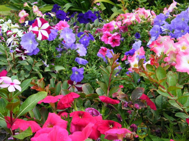 DSCF2840.JPG