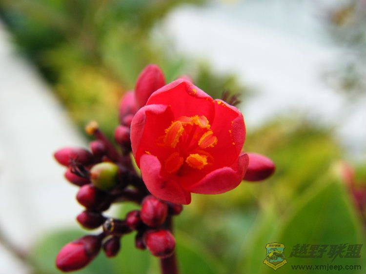 DSCF2854.JPG