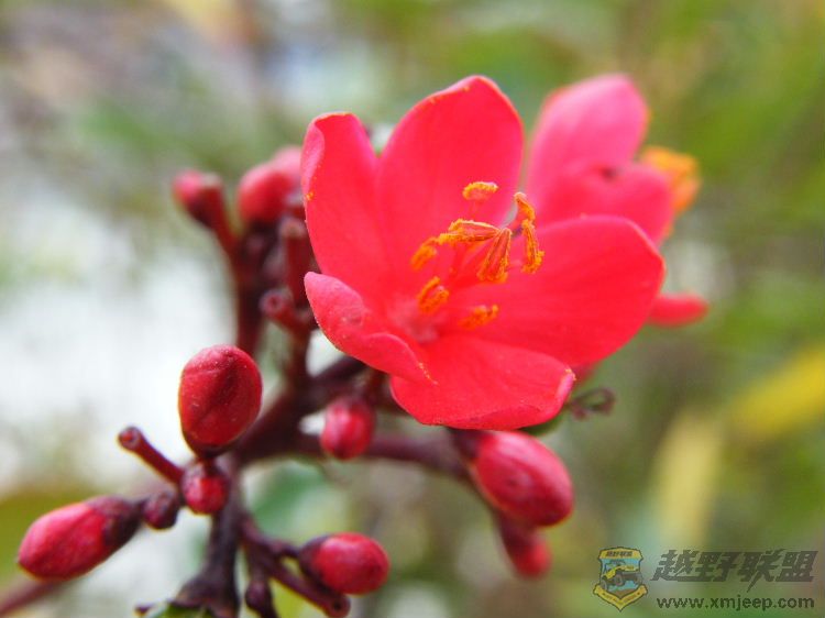 DSCF2857.JPG