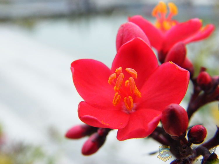 DSCF2858.JPG