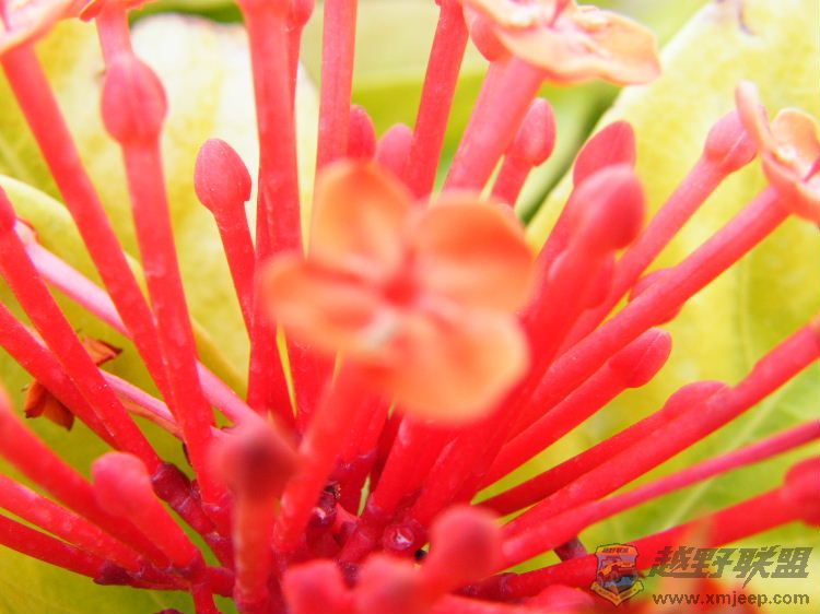 DSCF2861.JPG