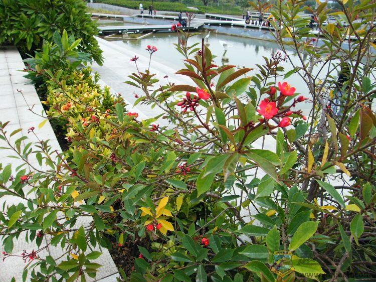 DSCF2865.JPG