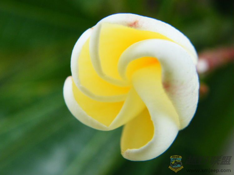 DSCF2866.JPG