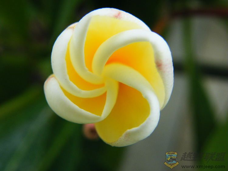 DSCF2870.JPG