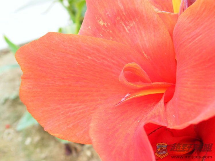 DSCF2881.JPG