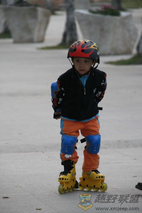 IMG3.jpg