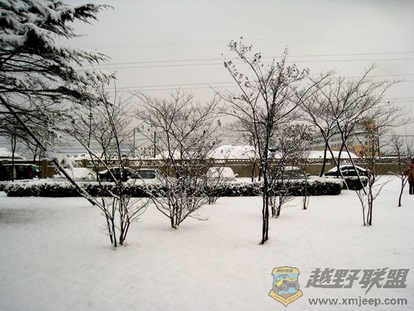 Ƭ-041.jpg