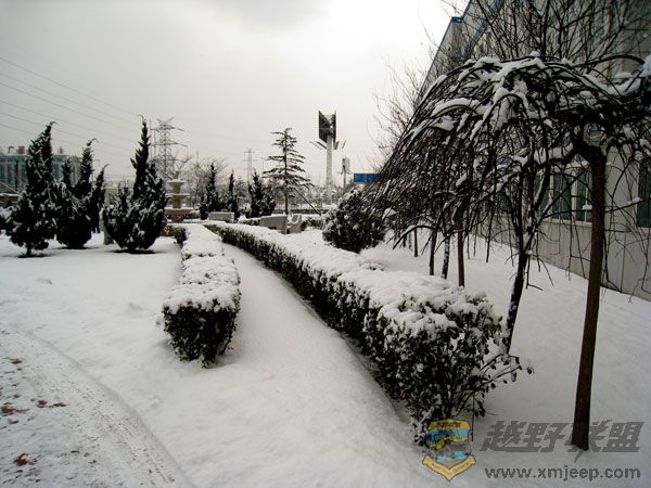 Ƭ-043.jpg