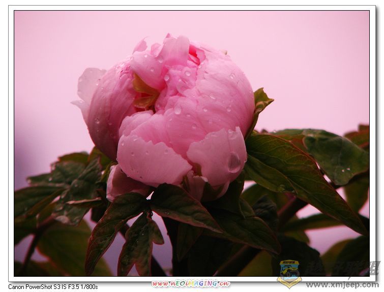 ĵ 051.JPG
