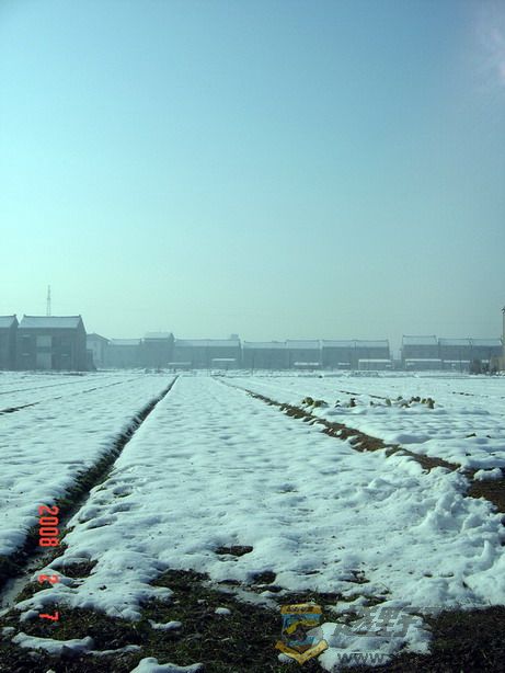 DSC08056.jpg17.jpg
