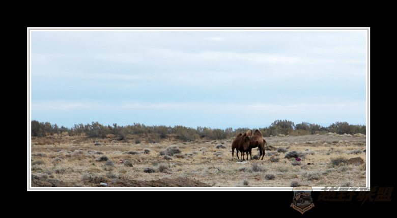 DSC_5636.gif
