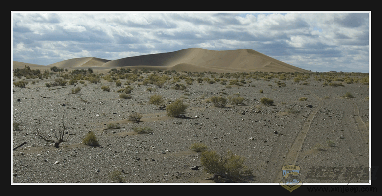 DSC_5605.gif
