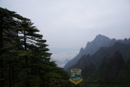 DSC00356-1.JPG