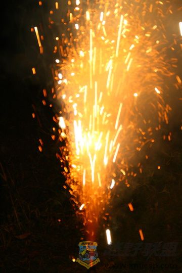 IMG_2560_С.JPG