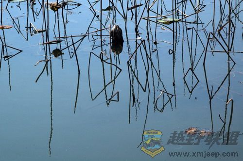 DSC_5911.jpg