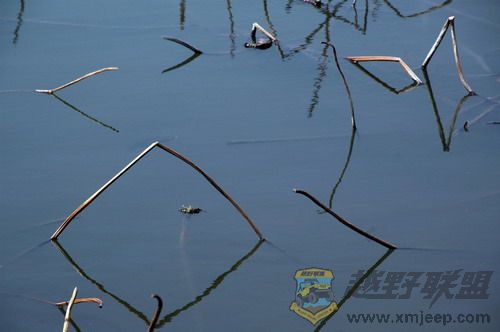 DSC_5918.jpg