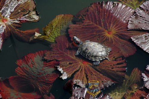 DSC_6022.jpg