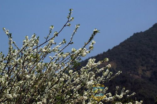 DSC_6058.jpg