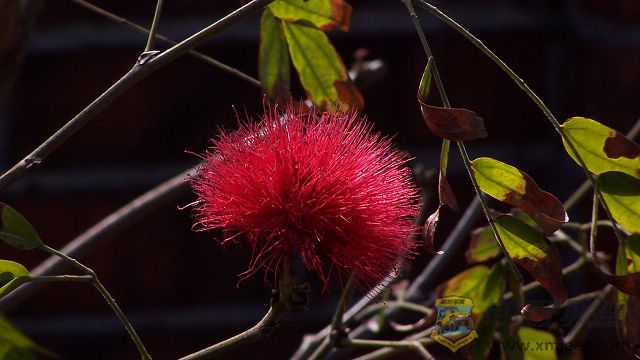 101_0287.jpg