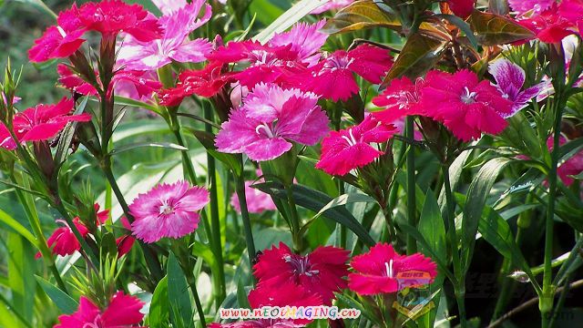 101_0506.jpg
