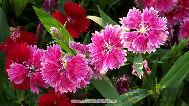 101_05070.jpg