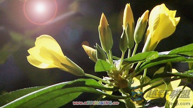 Ƭ 0911.jpg