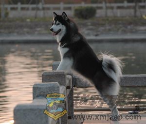 DSC_7459.jpg