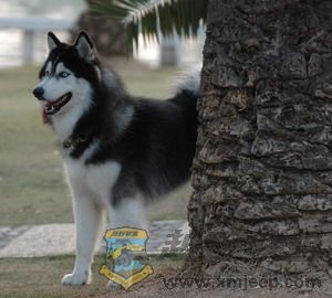 DSC_7499.jpg