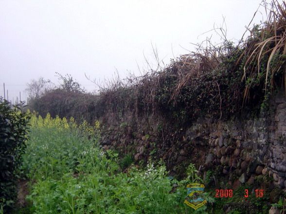 DSC08274.jpg