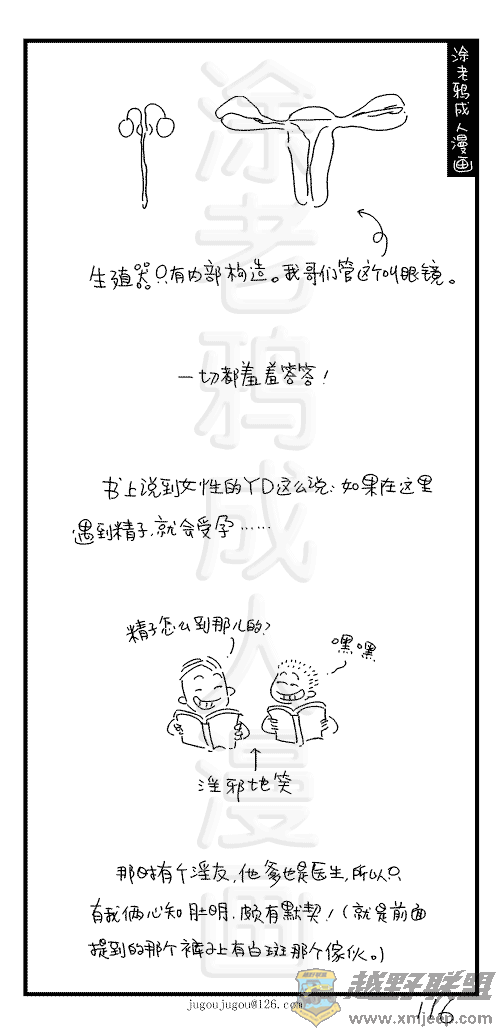 116.jpg