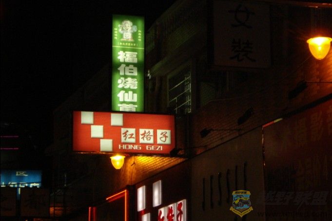 24.jpg