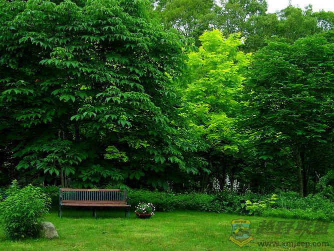 green2.jpg