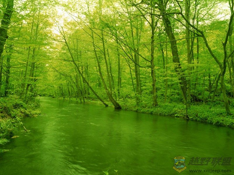 green4.jpg