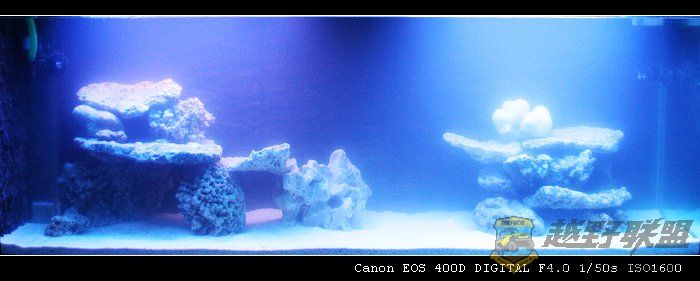 IMG_7719.jpg
