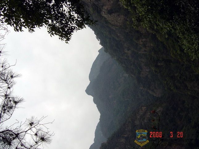 DSC08452.jpg14.jpg