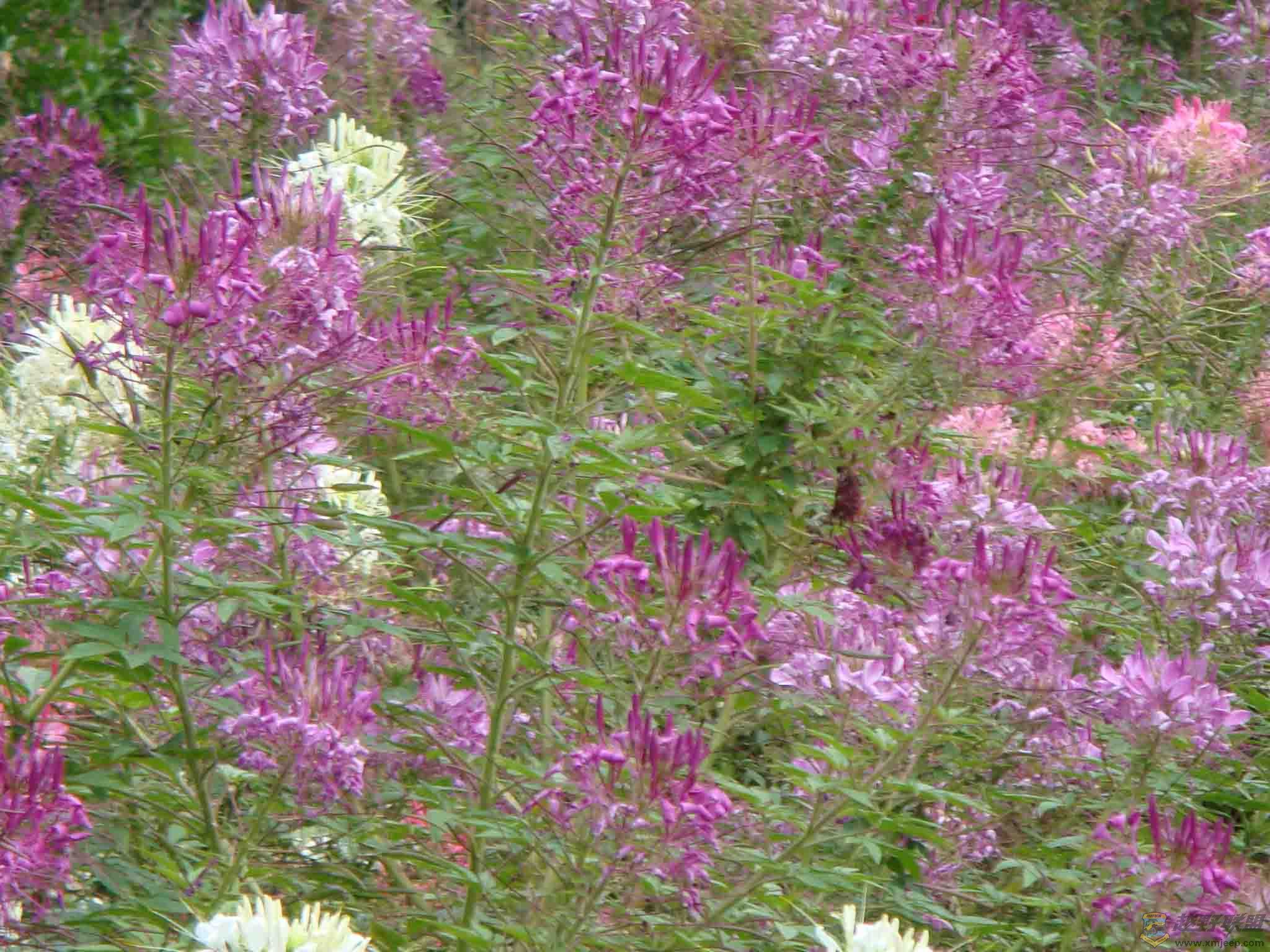 DSC01083.jpg