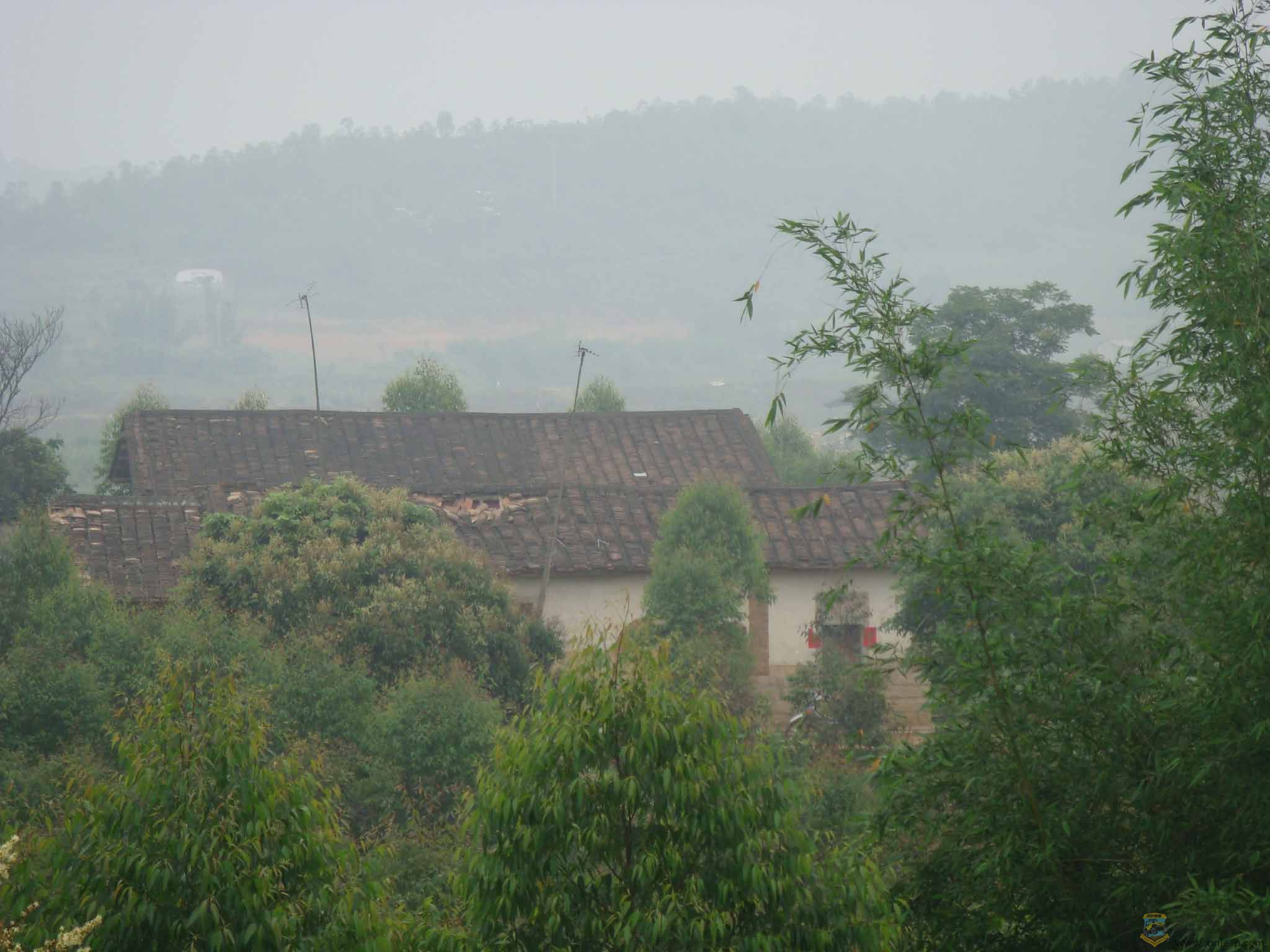 DSC01133.jpg