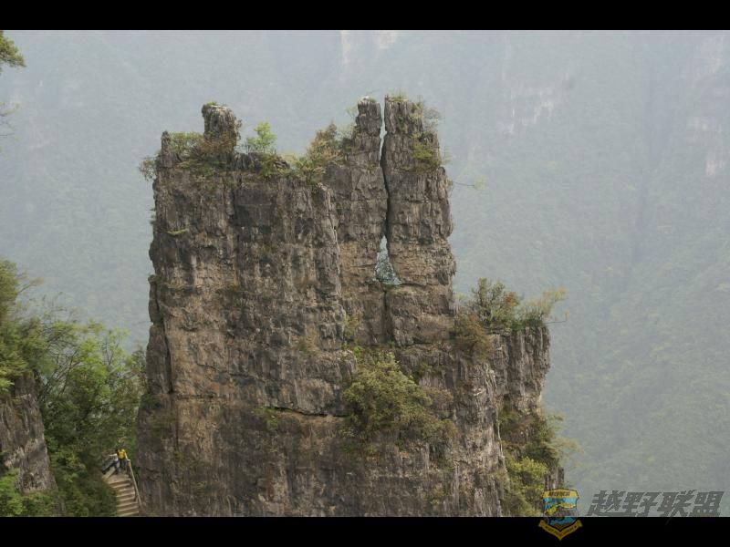 IMAGE021.JPG