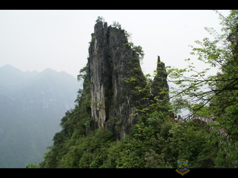 IMAGE041.JPG