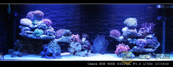 IMG_7892.jpg