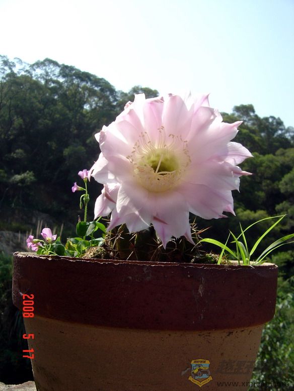 DSC08610.jpg