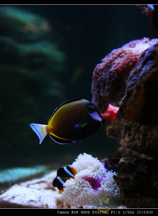IMG_8910.jpg